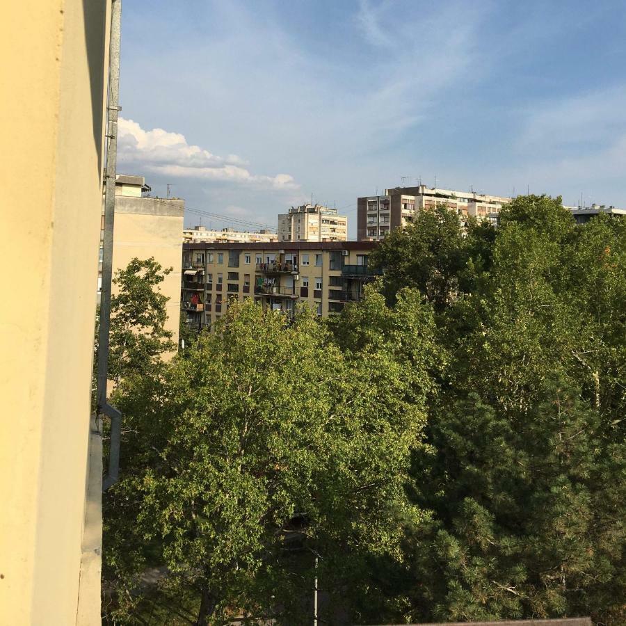 Green Dreams Novi Sad Exterior foto